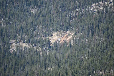 DSC_9956 (Large).JPG